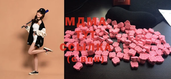 хмурый Алексин
