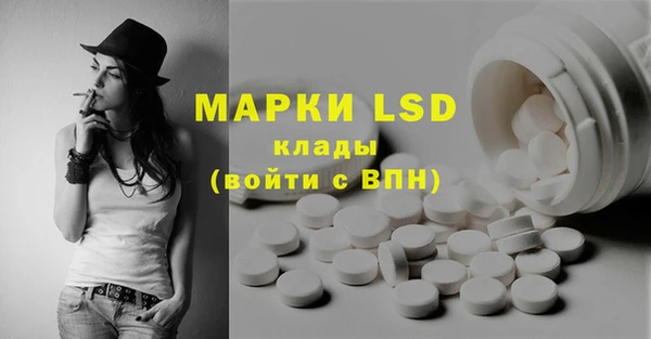 хмурый Алексин