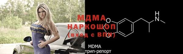 хмурый Алексин