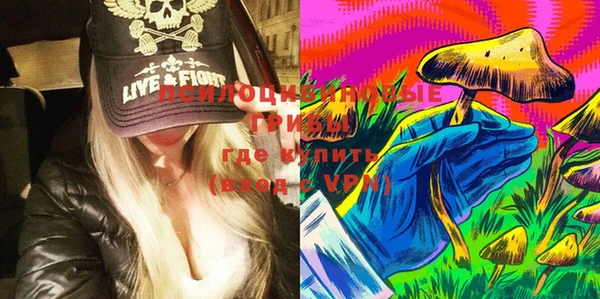 хмурый Алексин