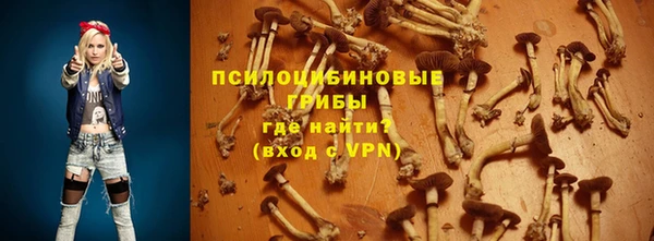 хмурый Алексин