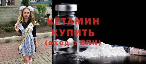 индика Инсар