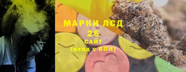хмурый Алексин